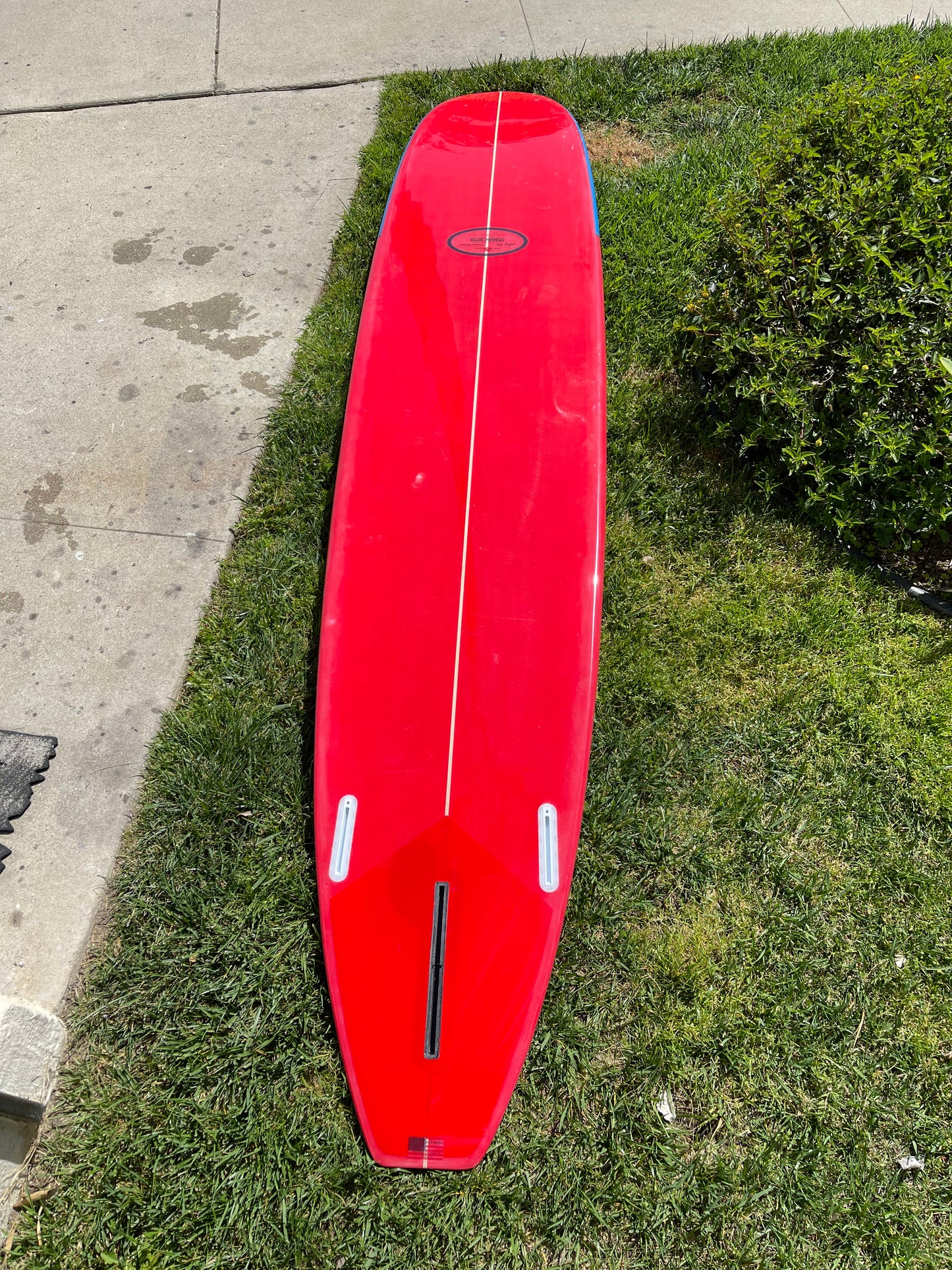 HLD by Mike Purpus Vaquita model